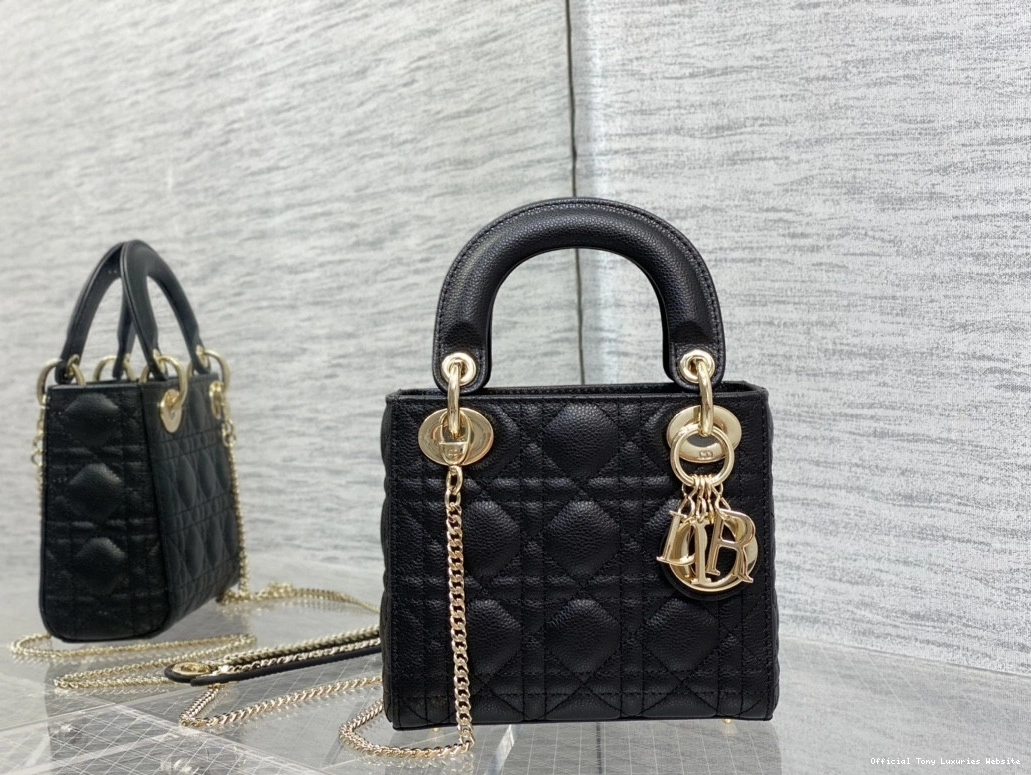 Tony Luxuries diro Calfskin Mini Lady 0722